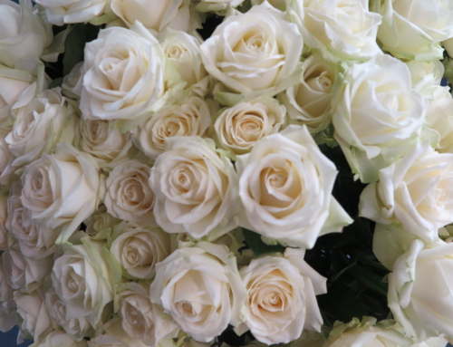 Abiturpreis des Bistums Aachen